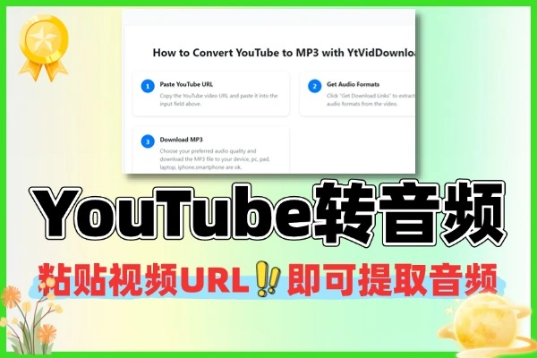 YouTube 视频转 MP3 工具：YtVidDownloader 在线转换，多音质选择一键提取音频