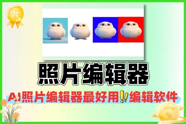 AI 照片编辑器：全能型修图工具（含抠图 / 消除 / 证件照 / 替换），附软件 + 使用教程，电脑端本地运行更安全